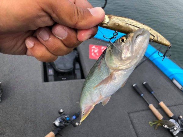 hideup 永野総一朗 ブログ写真 2019/06/10