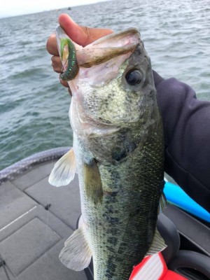 hideup 永野総一朗 ブログ写真 2019/06/10