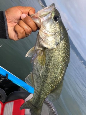 hideup 永野総一朗 ブログ写真 2019/06/10