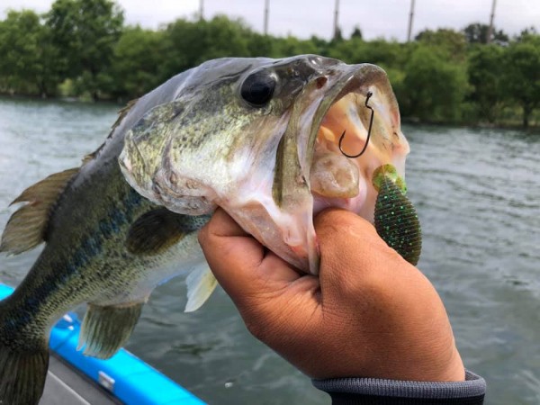 hideup 永野総一朗 ブログ写真 2019/06/10