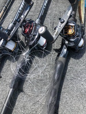 hideup 永野総一朗 ブログ写真 2019/06/15