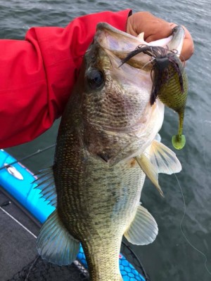 hideup 永野総一朗 ブログ写真 2019/06/15