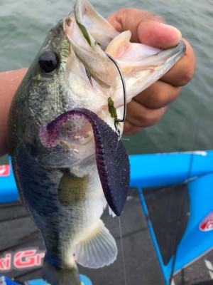 hideup 永野総一朗 ブログ写真 2019/06/19