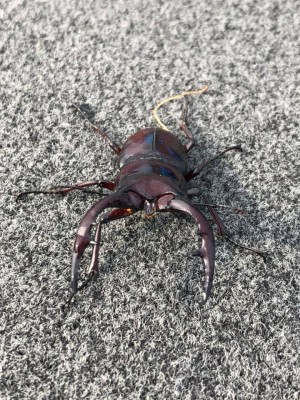 hideup 永野総一朗 ブログ写真 2019/06/22