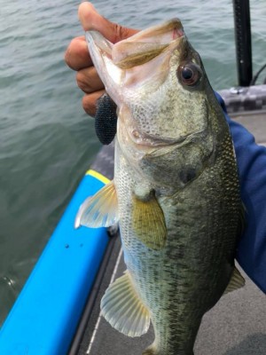 hideup 永野総一朗 ブログ写真 2019/06/22