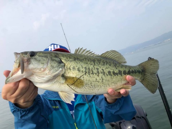 hideup 永野総一朗 ブログ写真 2019/06/22