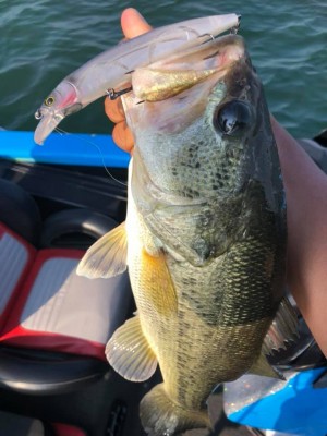 hideup 永野総一朗 ブログ写真 2019/06/22