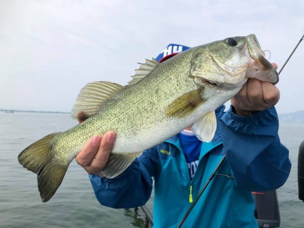 hideup 永野総一朗 ブログ写真 2019/06/22