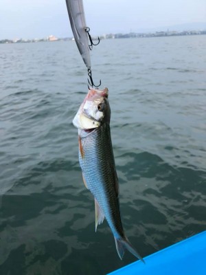 hideup 永野総一朗 ブログ写真 2019/06/22