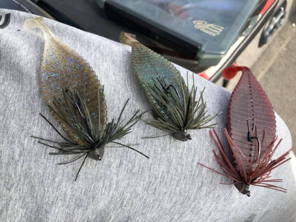 hideup 永野総一朗 ブログ写真 2019/06/25