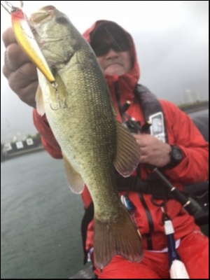 hideup 永野総一朗 ブログ写真 2019/07/01