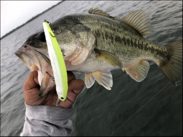 hideup 永野総一朗 ブログ写真 2019/07/01