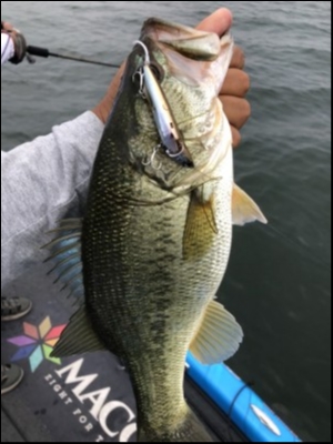 hideup 永野総一朗 ブログ写真 2019/07/01