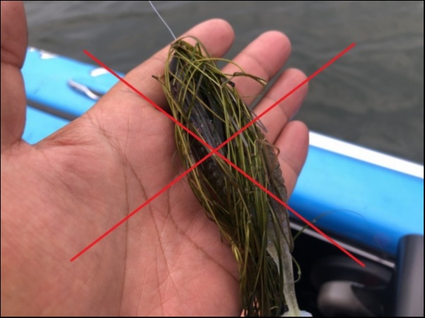 hideup 永野総一朗 ブログ写真 2019/07/01