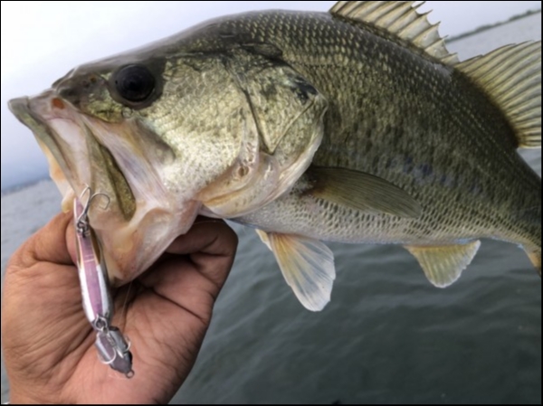 hideup 永野総一朗 ブログ写真 2019/07/01