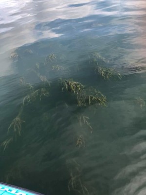 hideup 永野総一朗 ブログ写真 2019/07/05