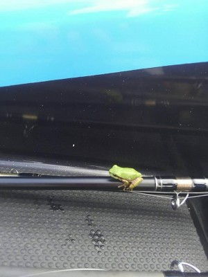 hideup 永野総一朗 ブログ写真 2019/07/05