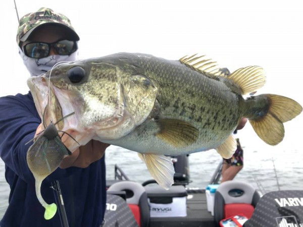 hideup 永野総一朗 ブログ写真 2019/07/07