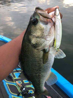 hideup 永野総一朗 ブログ写真 2019/07/07