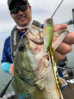 hideup 永野総一朗 ブログ写真 2019/07/08