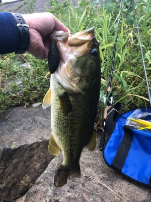 hideup 永野総一朗 ブログ写真 2019/07/08