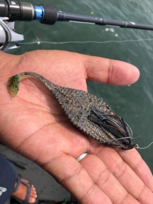 hideup 永野総一朗 ブログ写真 2019/07/08