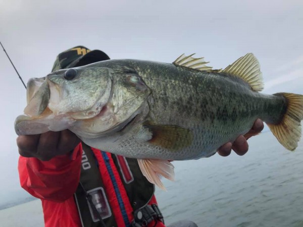 hideup 永野総一朗 ブログ写真 2019/07/09