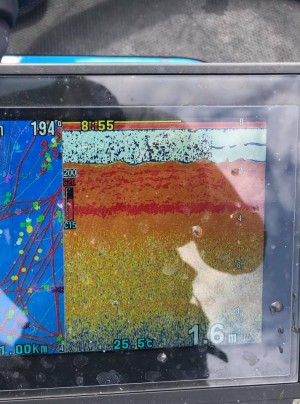 hideup 永野総一朗 ブログ写真 2019/07/09