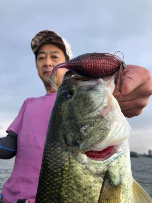 hideup 永野総一朗 ブログ写真 2019/07/12