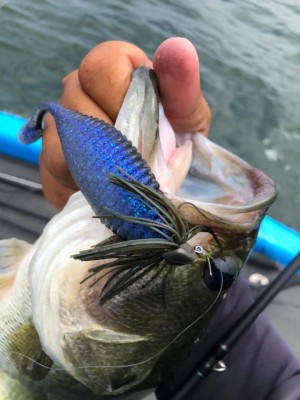 hideup 永野総一朗 ブログ写真 2019/07/12