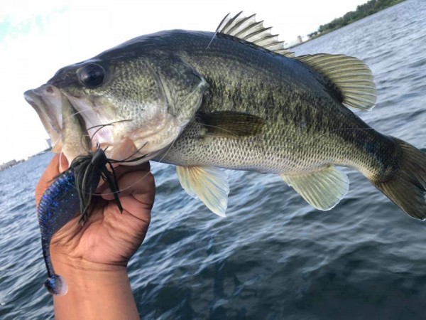 hideup 永野総一朗 ブログ写真 2019/07/12