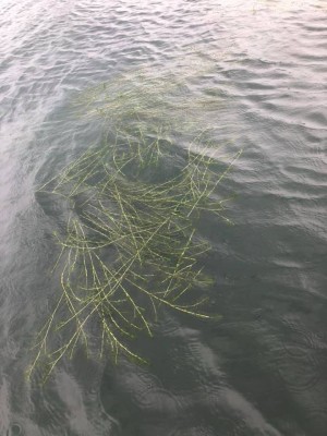 hideup 永野総一朗 ブログ写真 2019/07/14