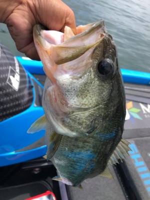 hideup 永野総一朗 ブログ写真 2019/07/14