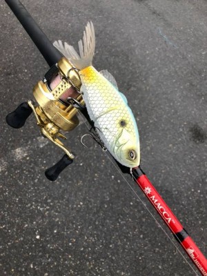 hideup 永野総一朗 ブログ写真 2019/07/16