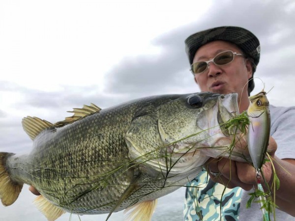 hideup 永野総一朗 ブログ写真 2019/07/17