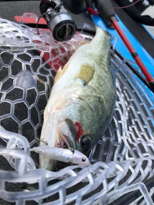 hideup 永野総一朗 ブログ写真 2019/07/18