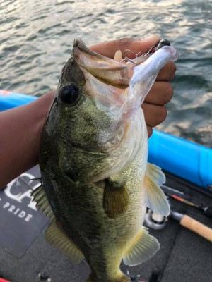 hideup 永野総一朗 ブログ写真 2019/07/18