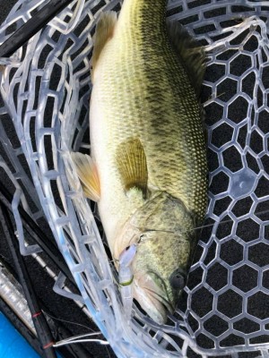 hideup 永野総一朗 ブログ写真 2019/07/20