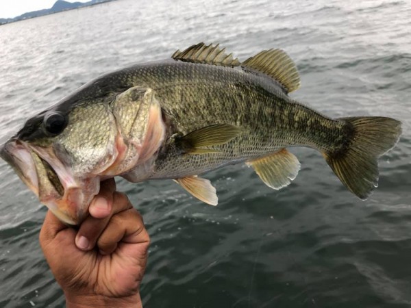 hideup 永野総一朗 ブログ写真 2019/07/20