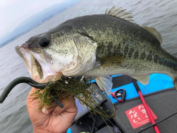 hideup 永野総一朗 ブログ写真 2019/07/21