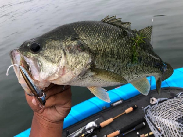 hideup 永野総一朗 ブログ写真 2019/07/21
