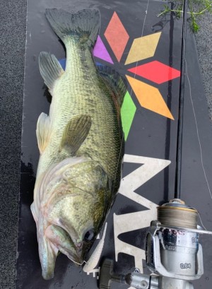 hideup 永野総一朗 ブログ写真 2019/07/23