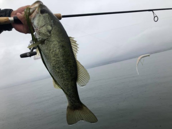 hideup 永野総一朗 ブログ写真 2019/07/23