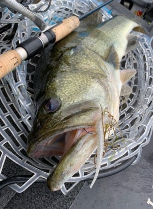 hideup 永野総一朗 ブログ写真 2019/07/23