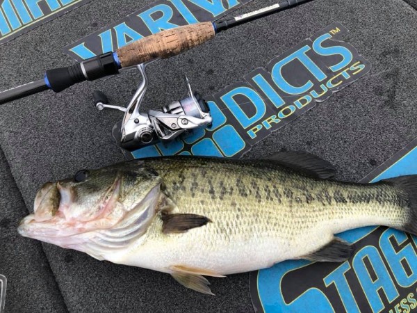 hideup 永野総一朗 ブログ写真 2019/07/23