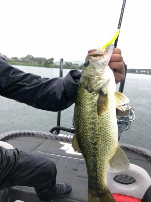 hideup 永野総一朗 ブログ写真 2019/07/23