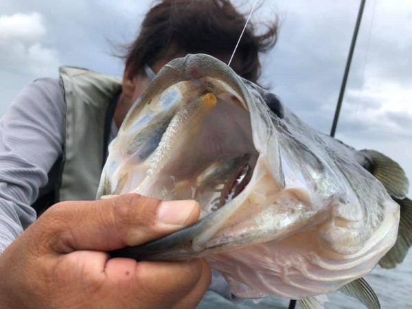 hideup 永野総一朗 ブログ写真 2019/07/23