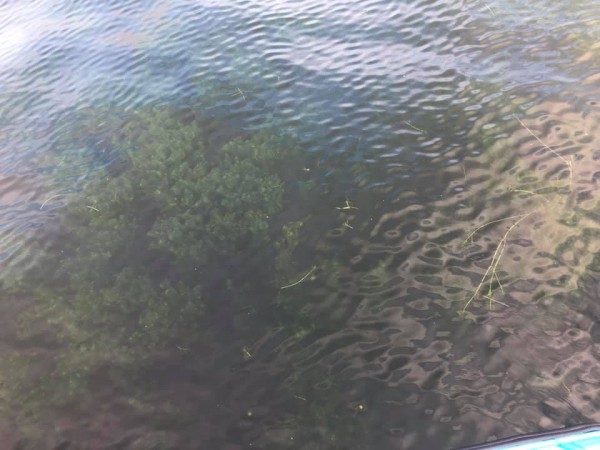 hideup 永野総一朗 ブログ写真 2019/07/24