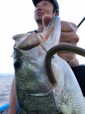 hideup 永野総一朗 ブログ写真 2019/07/25