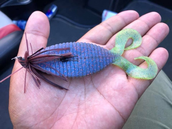 hideup 永野総一朗 ブログ写真 2019/07/25